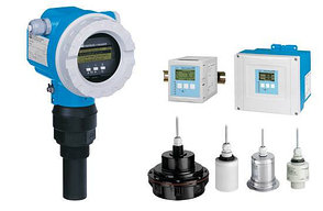 Endress+Hauser 72F50-SM0FA12AA4AA-50102043-Prowirl - CLS50-A1B1-Indumax-P, фото 2