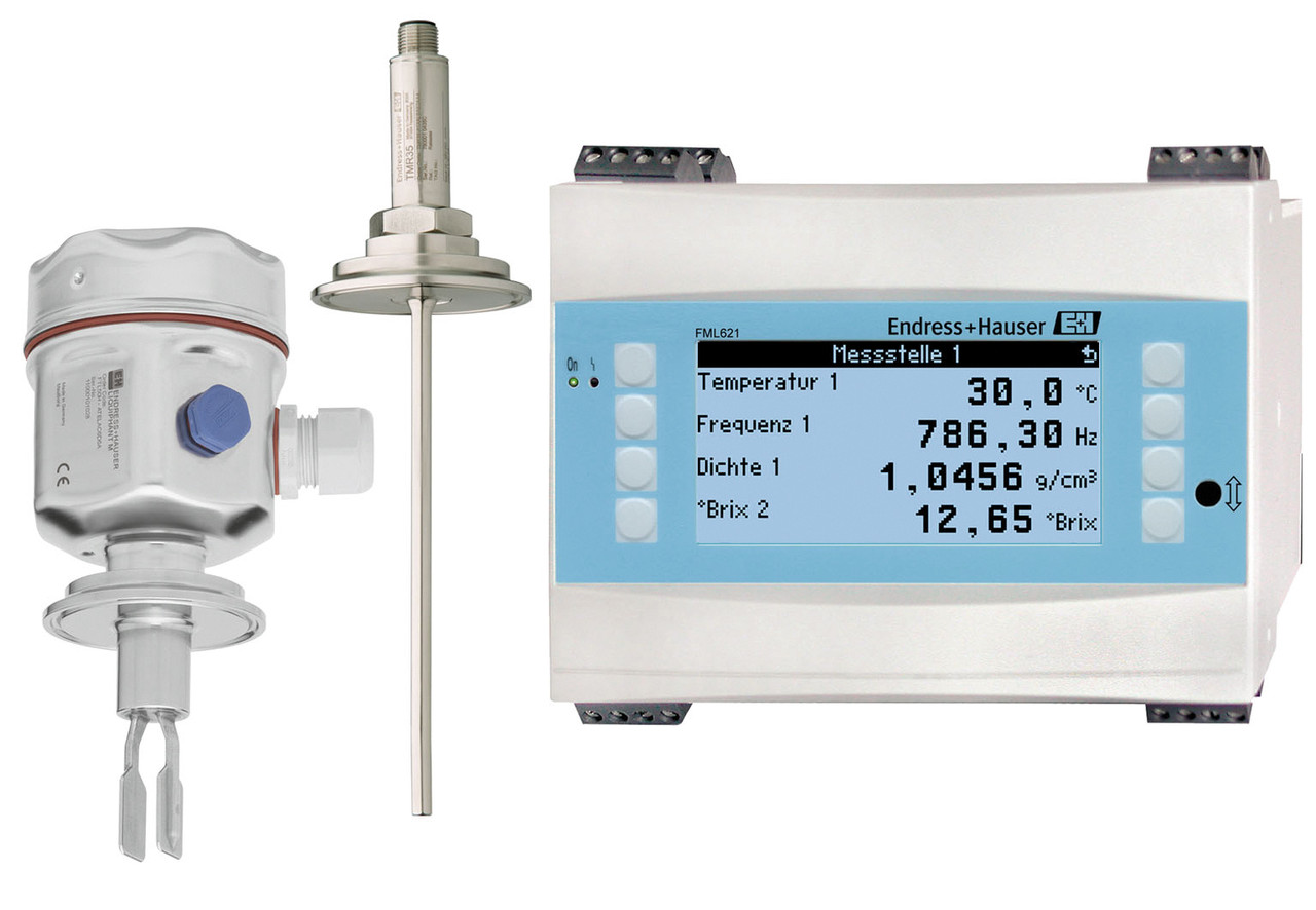 Endress+Hauser FTL50-GGQ2AA8G5C-Liquiphant-M - FTM50-AGG5A4A12AA-Soliphant-M - фото 3 - id-p10966001