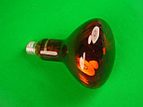 Лампа инфракрасная для обогрева 250 Вт, фото 5