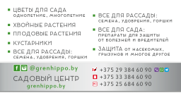 Подарочный сертификат GreenHippo, 100 руб. - фото 2 - id-p140673127