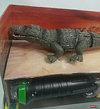 Робот-крокодил с ИК пультом, фото 3