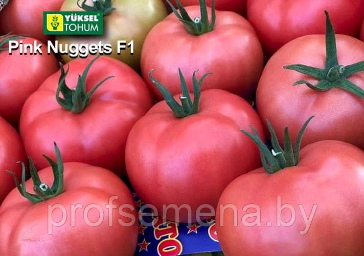 Пинк Нагетс F1 500 шт Yuksel Seeds Розовый Томат Индетерминантный Семена Турция