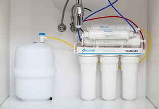Фильтр  обратного осмоса  для питьевой воды Ecosoft Standart, фото 2