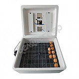Инкубатор Несушка на 63 яйца (автомат, цифровое табло) + Гигрометр, арт. 38Г, фото 2