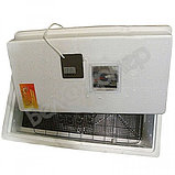 Инкубатор Несушка на 36 яиц (автомат, цифровое табло) + Гигрометр, арт. 37Г, фото 2