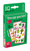 IQ Умные игры с картами. Что где растёт? Игра находилка