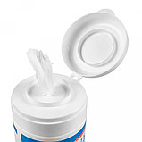 Салфетки чистящие для оргтехники в тубе Cleanlike, фото 2
