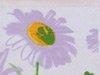 Шторки RAMASKA Lilac