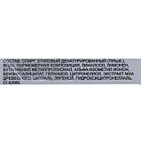 Туалетная вода мужская Absolute Aqua, 100 мл, фото 5