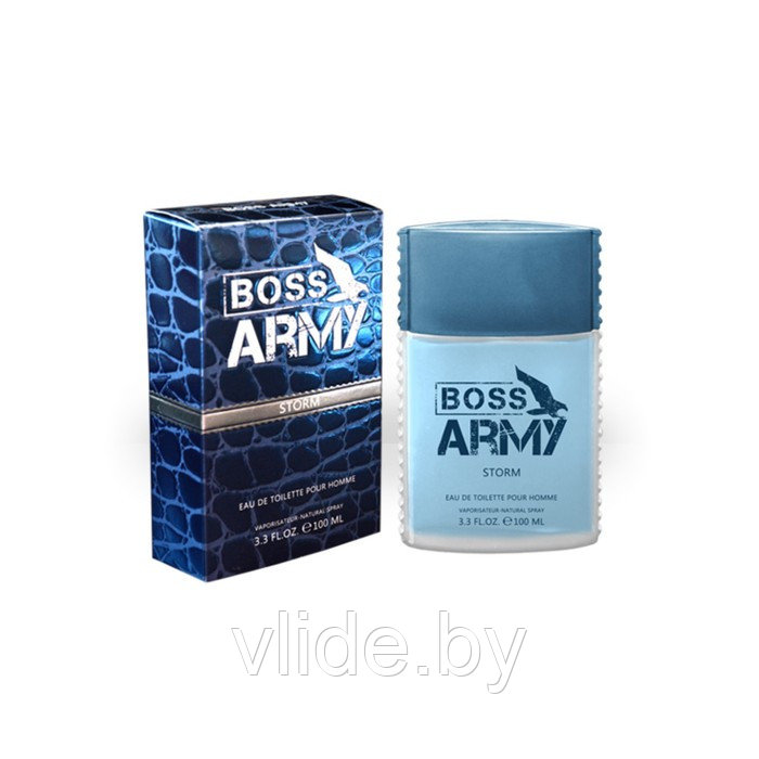 Туалетная вода мужская Boss Army, Storm, 100 мл