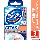 Стикер для очищения унитаза Domestos "Тропическая свежесть", 3 шт по 10 г, фото 2