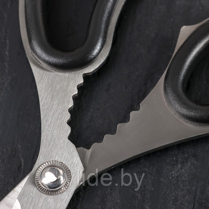 Ножницы кухонные «Профи», 23 см - фото 4 - id-p141291781