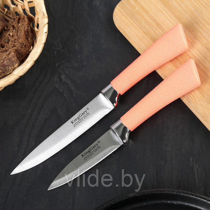 Набор кухонных ножей «Рич» - фото 1 - id-p141291845