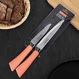 Набор кухонных ножей «Рич», лезвия: 12,5/9 см, цвет МИКС, фото 2