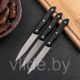 Набор кухонных ножей «Ночь», 3 предмета, цвет чёрный
