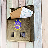 Ящик почтовый без замка (с петлёй), горизонтальный «Широкий», бронзовый, фото 2
