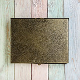 Ящик почтовый без замка (с петлёй), горизонтальный «Широкий», бронзовый, фото 6