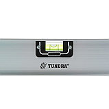 Уровень алюминиевый TUNDRA "Рельс", 3 глазка (1 поворотный), 2000 мм 3575276, фото 4