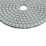 Алмазный гибкий шлифовальный круг TUNDRA, для мокрой шлифовки, 100 мм, № 100 3594924, фото 2