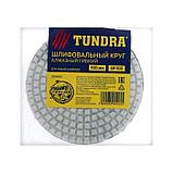 Алмазный гибкий шлифовальный круг TUNDRA, для мокрой шлифовки, 100 мм, № 100 3594924, фото 4