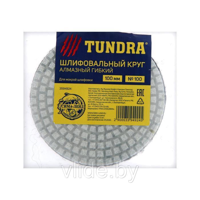 Алмазный гибкий шлифовальный круг TUNDRA, для мокрой шлифовки, 100 мм, № 100 3594924 - фото 4 - id-p141292016