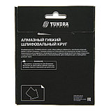 Алмазный гибкий шлифовальный круг TUNDRA, для мокрой шлифовки, 100 мм, № 100 3594924, фото 5