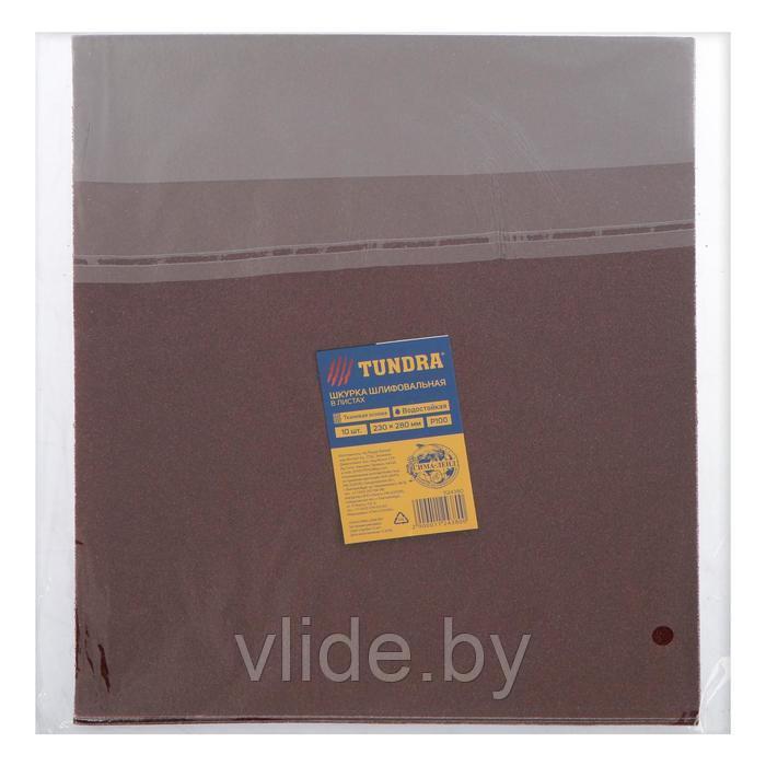 Шкурка шлифовальная в листах TUNDRA, на тканевой основе водостойкая, 230 х 280, Р100, 10 шт. 1124380 - фото 3 - id-p141292047