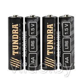 Батарейка алкалиновая TUNDRA, AA, LR6 ,1 шт 3142260