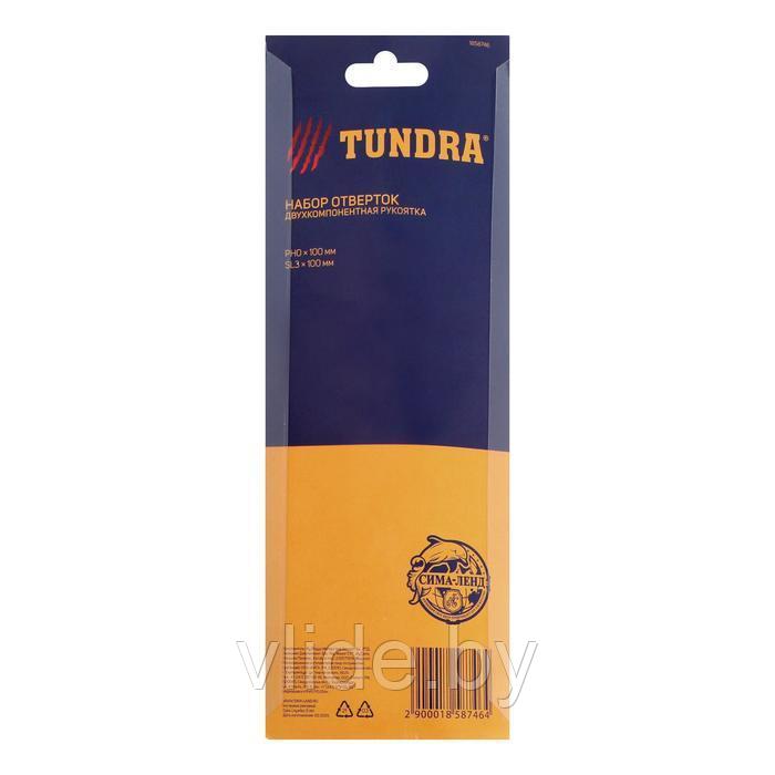 Набор отверток TUNDRA, PH0/SL3 х 100 мм, обработка сатин, 2К рукоятка, намагниченное жало 1858746 - фото 4 - id-p141292106