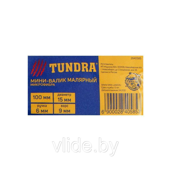 Мини-валик TUNDRA, микрофибра, 100 мм, ручка d=6 мм, D=15 мм, ворс 9 мм 2840585 - фото 3 - id-p141292176