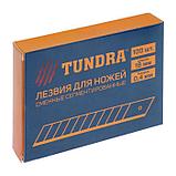 Лезвия для ножей TUNDRA, сегментированные, 18 х 0.4 мм, 1 контейнер по 10 лезвий. 1006516, фото 6