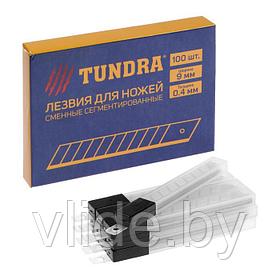 Лезвия для ножей TUNDRA, сегментированные, 9 х 0.4 мм, 1 контейнер по 10 лезвий. 1006515