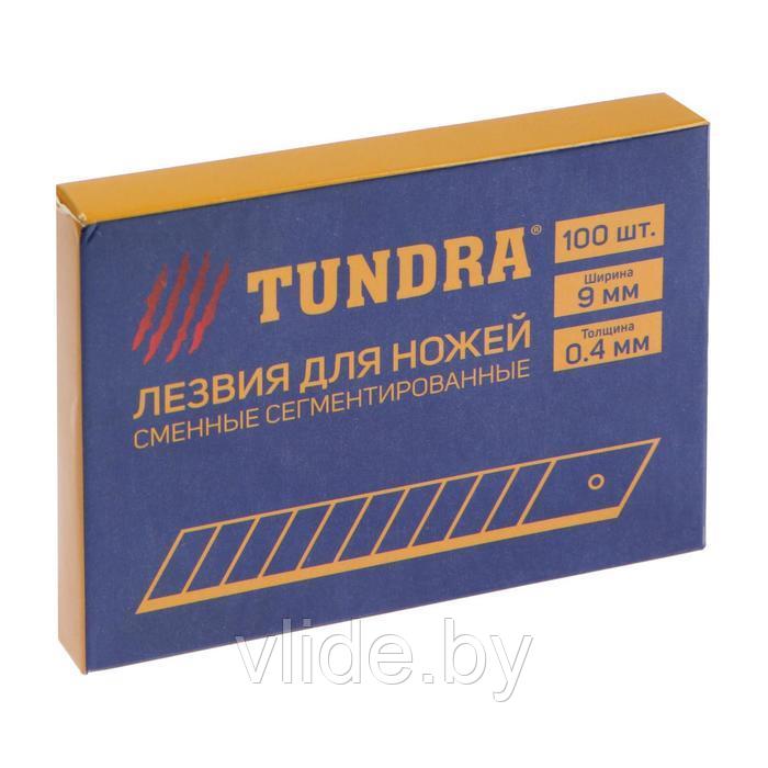 Лезвия для ножей TUNDRA, сегментированные, 9 х 0.4 мм, 1 контейнер по 10 лезвий. 1006515 - фото 6 - id-p141292506