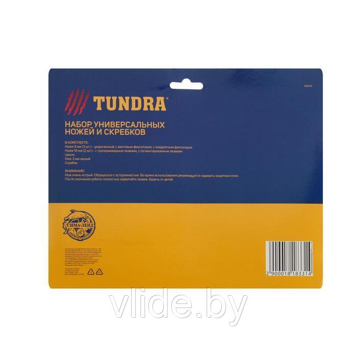 Набор ножей и скребков TUNDRA, универсальный, 8 предметов 1818331 - фото 4 - id-p141292507