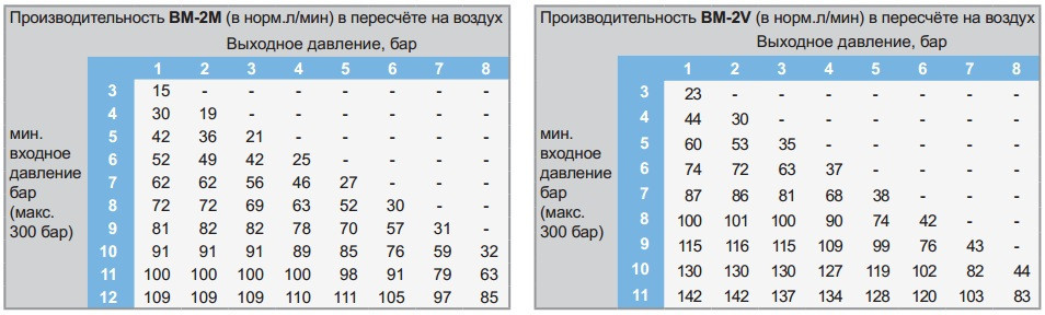 WITT BM-2V однопостовой для 2-х газов до 142 норм.л/мин - фото 2 - id-p11117597