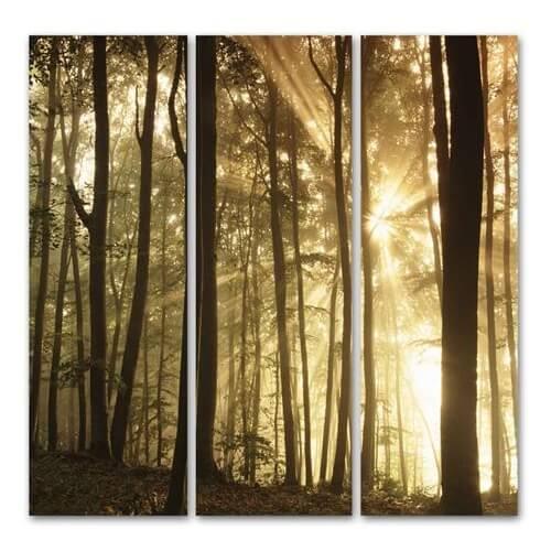 FP1077 декор Trees Canvas Tryptic 90x90см - фото 1 - id-p127576640