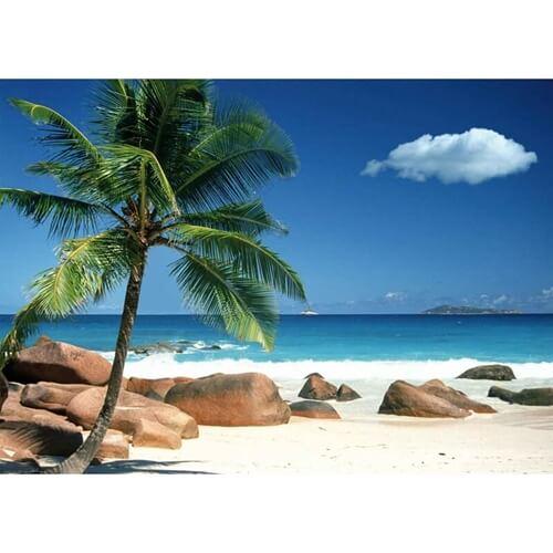 FP04053 декор Praslin beach Seychelles 50x70см холст - фото 1 - id-p127576648