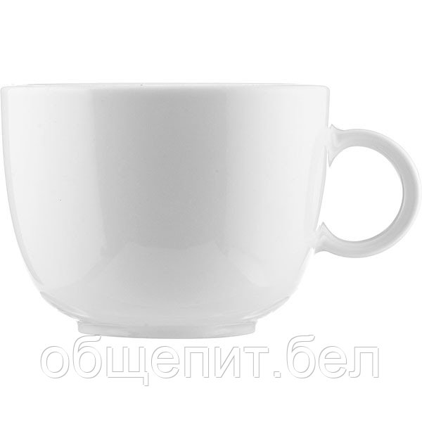Чашка чайная «Нами»; фарфор; 300 мл - фото 1 - id-p141432401
