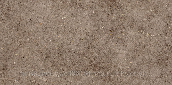 Керамическая плитка Болонья 4 600х300 коричневый Керамин