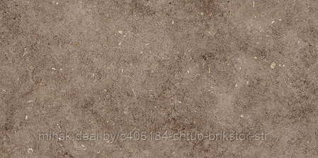 Керамическая плитка Болонья 4 600х300 коричневый Керамин, фото 2