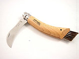 Нож грибника Opinel №8 нержавеющая сталь (в блистере), фото 2