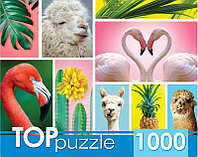 TOPpuzzle. ПАЗЛЫ 1000 элементов. Модный коллаж