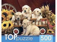 TOPpuzzle. ПАЗЛЫ 500 элементов. Щенки лабрадора