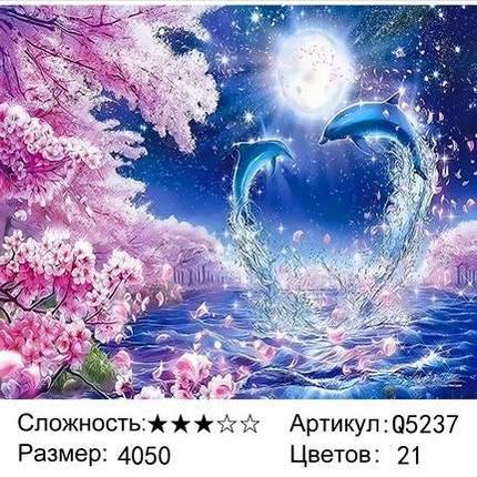 Картина по номерам Сердце дельфина (Q5237), фото 2