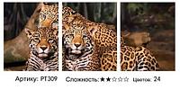 Картина по номерам триптих Леопарды (PT309)