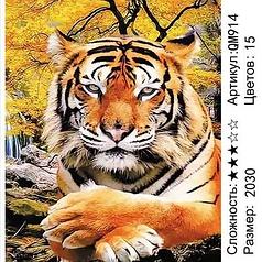 Раскраска по номерам Тигрище (QM914)