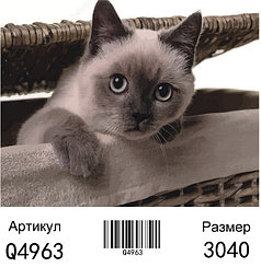 Картина по номерам Сиамский котенок (Q4963)