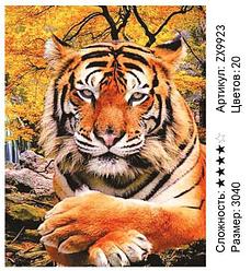 Алмазная мозаика Бенгальский тигр (ZX9923)