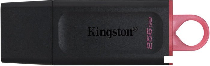 USB Flash Kingston Exodia 256GB, фото 2