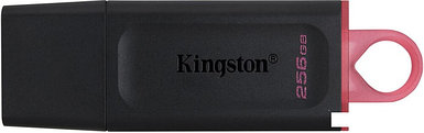 USB Flash Kingston Exodia 256GB